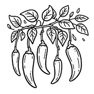 green pepper